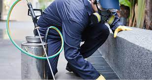 Dedetização de carrapatos